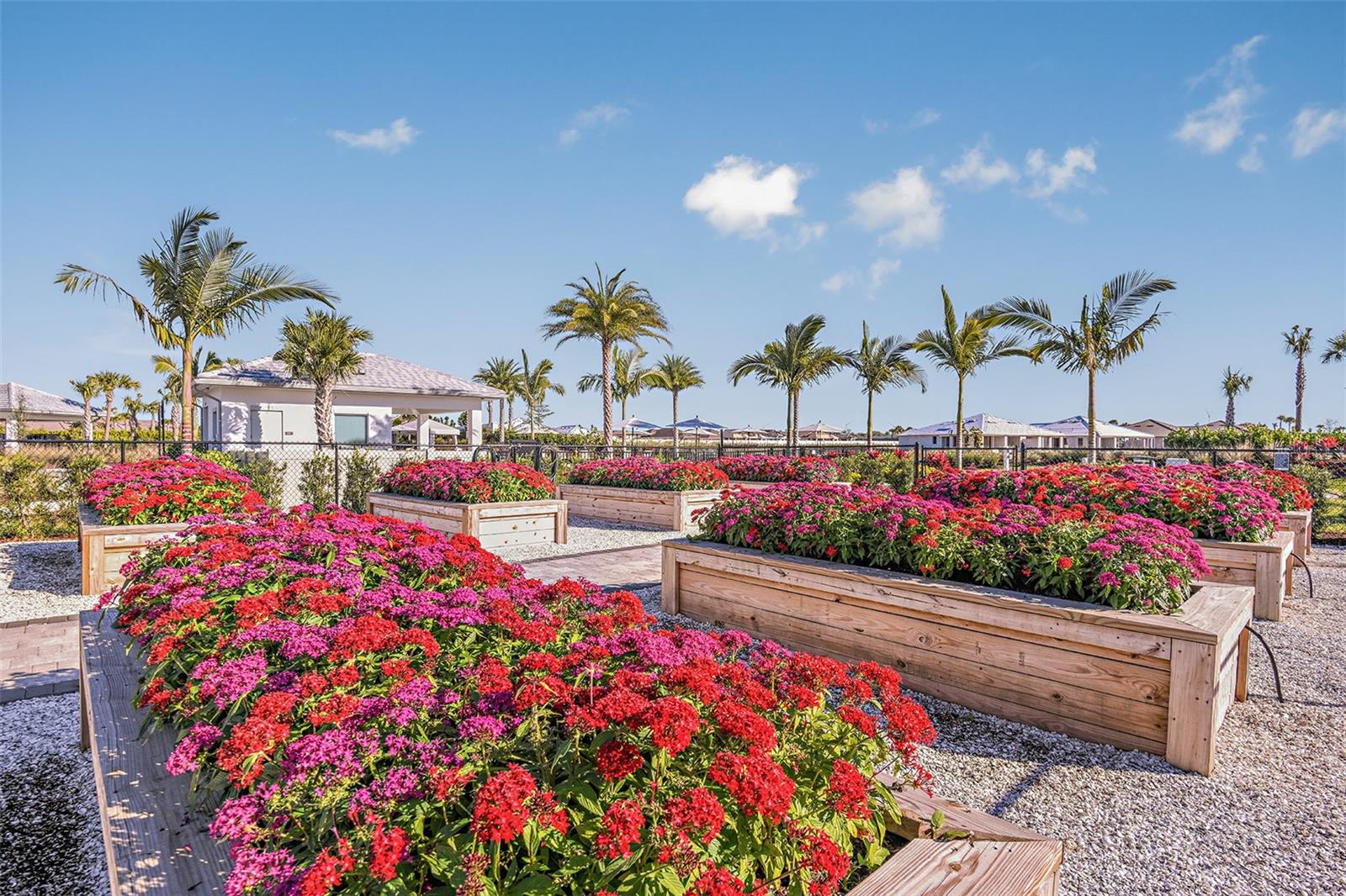 AZARIO ESPLANADE - Residential