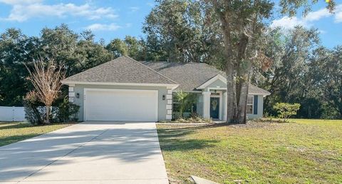 A home in FRUITLAND PARK