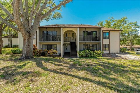 1737 PINE RIDGE WAY W B-1 PALM HARBOR FL 34684