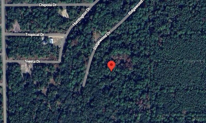 Photo 1 of 4 — 205 SIESTA DRIVE, GEORGETOWN, FL 32139