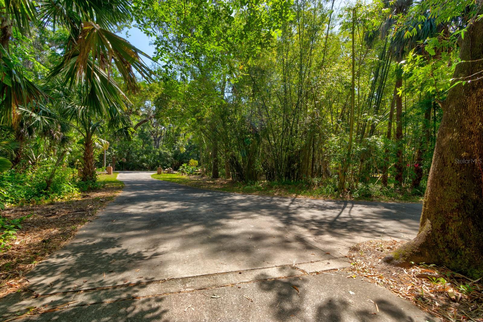 706 S TIMBERLANE DRIVE