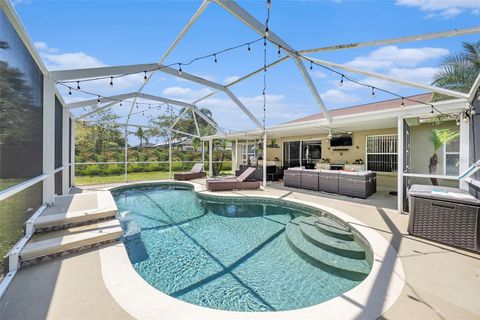 A home in APOLLO BEACH