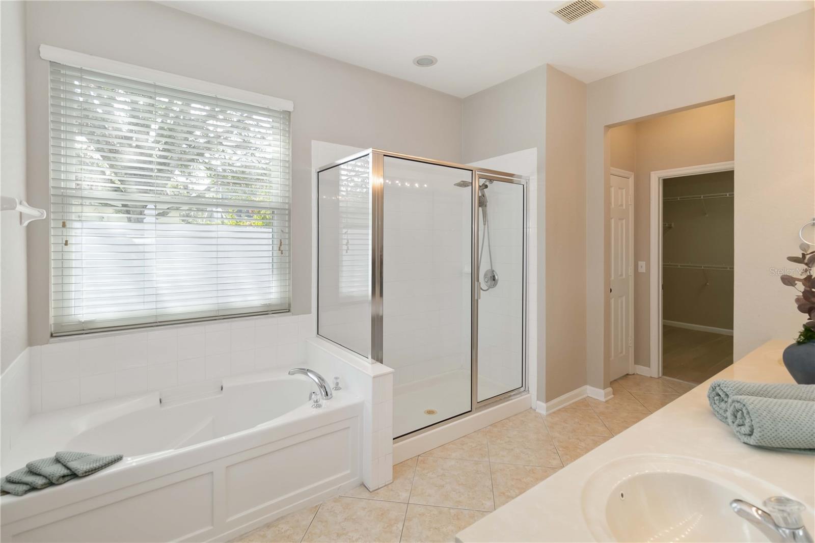 LAKES/WINDERMERE-PEACHTREE - Residential