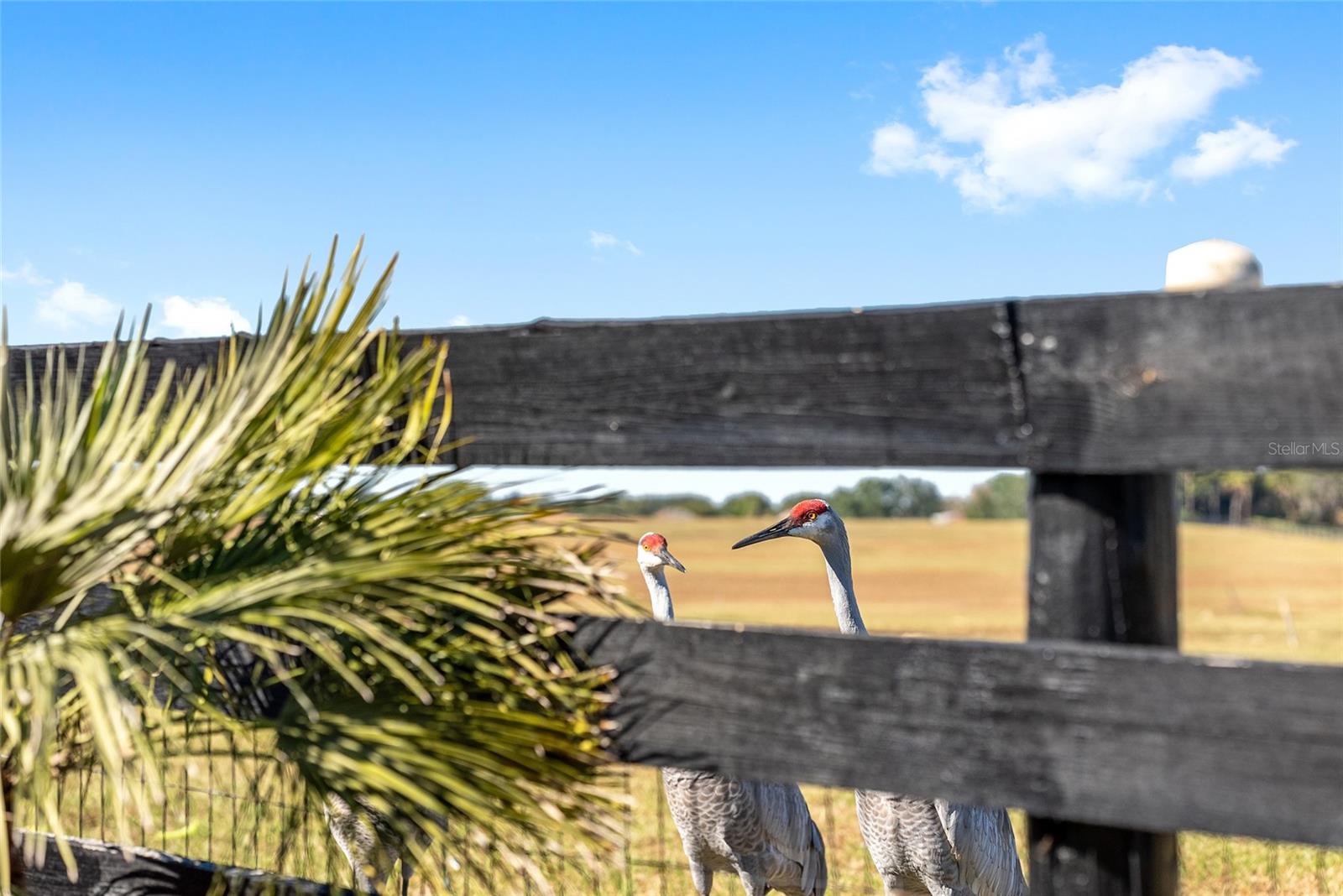 VILLAGE/SUMTER UN #18 - Residential