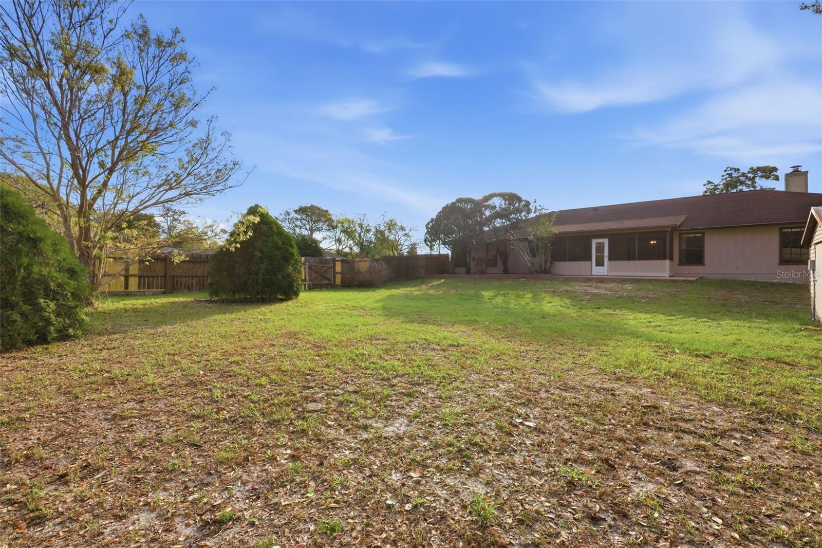 SWALLOWS - Residential