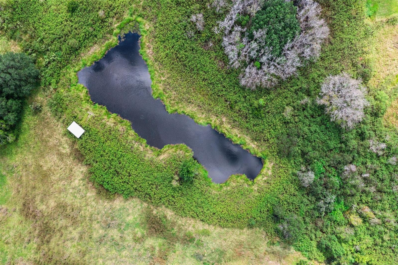 GROVELAND FARMS R25-T23-S05 - Land