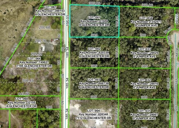 RIDGE MANOR ESTATE - Land