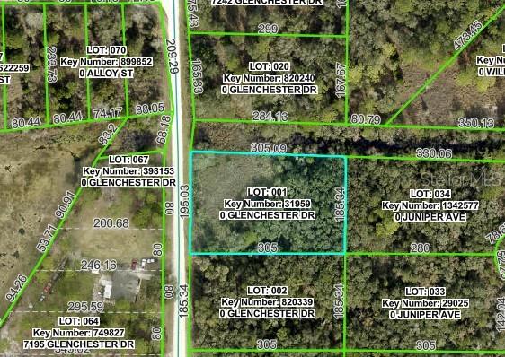 RIDGE MANOR ESTATE - Land