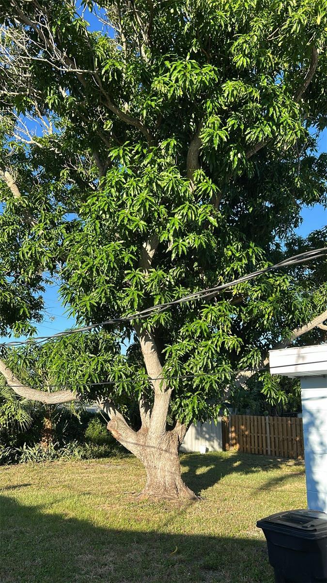 BAYSHORE GARDENS SEC 13 - Residential