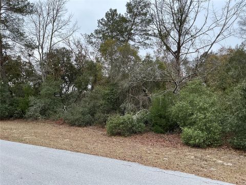 Tiny photo for SW 137th Loop, Ocala, FL 34473 (MLS # OM722017)