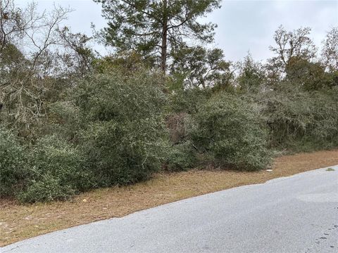 Tiny photo for SW 137th Loop, Ocala, FL 34473 (MLS # OM722017)