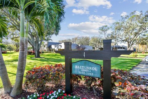 A home in PALM HARBOR