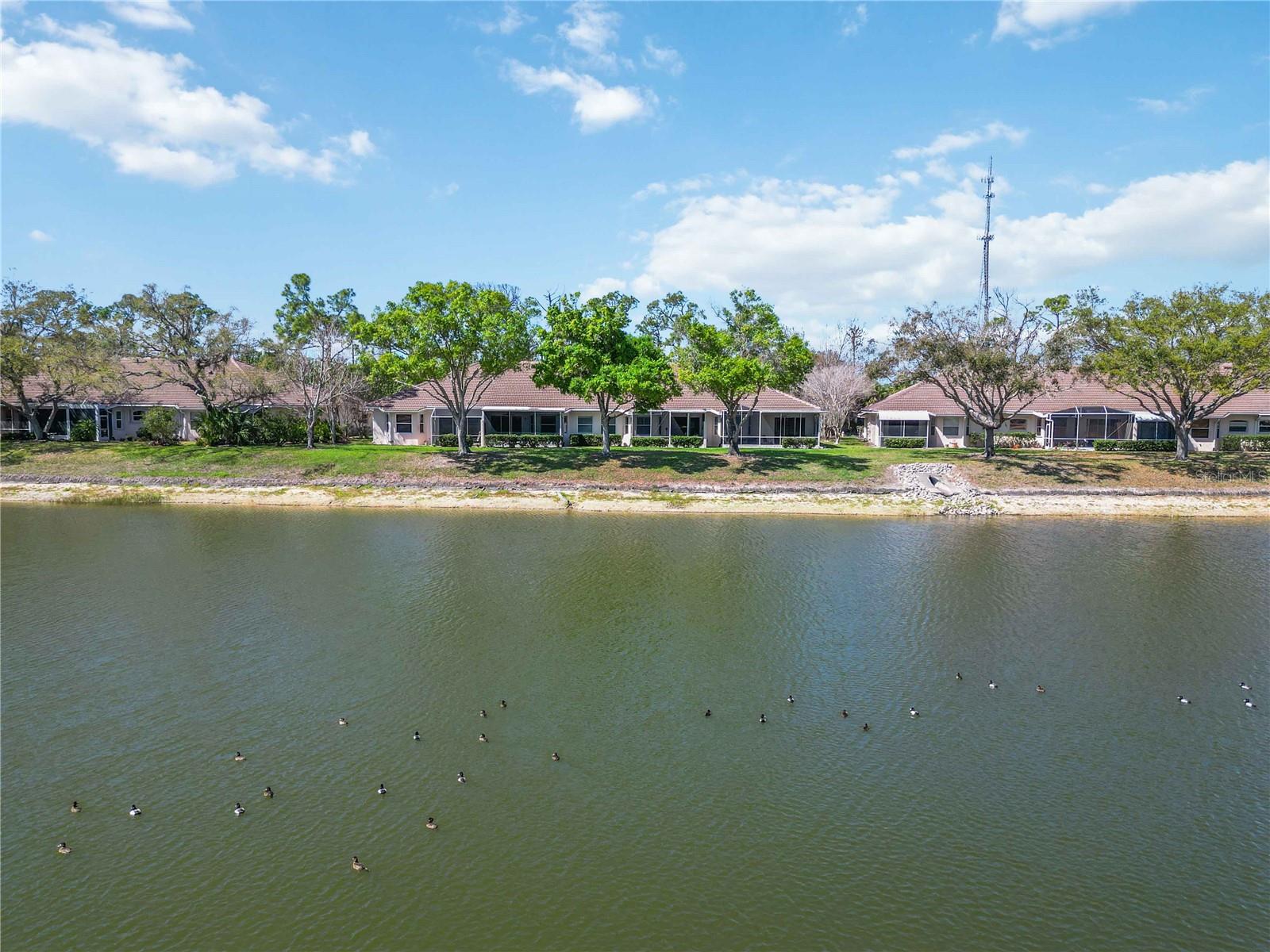 BOBCAT VILLAS PH 3 - Residential