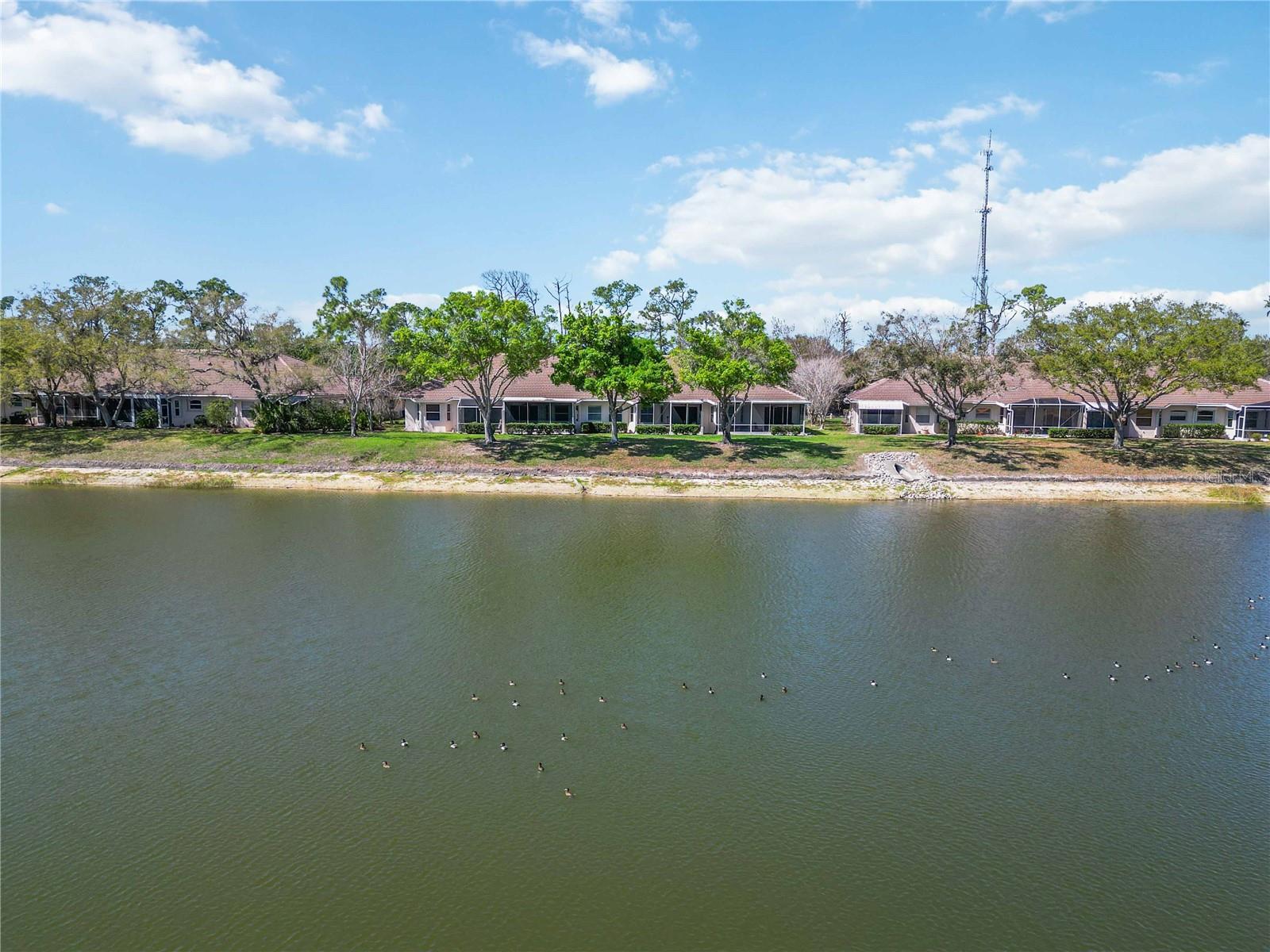 BOBCAT VILLAS PH 3 - Residential