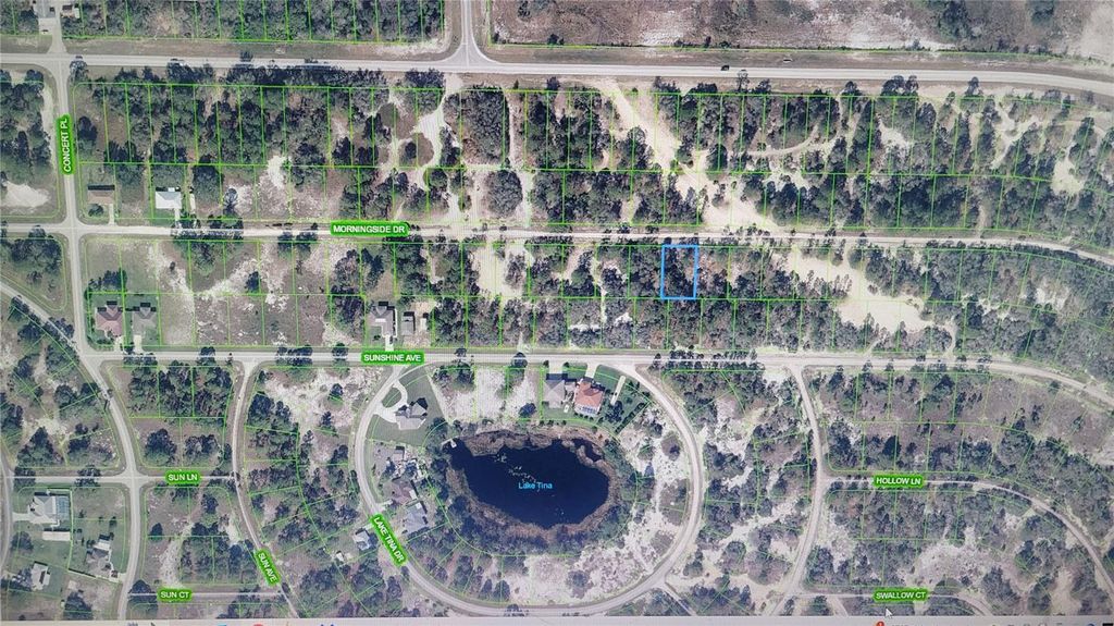 Photo of 401 Morningside Drive, Lake Placid, FL 33852 (MLS # C7516266)