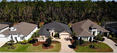 A home in ORMOND BEACH