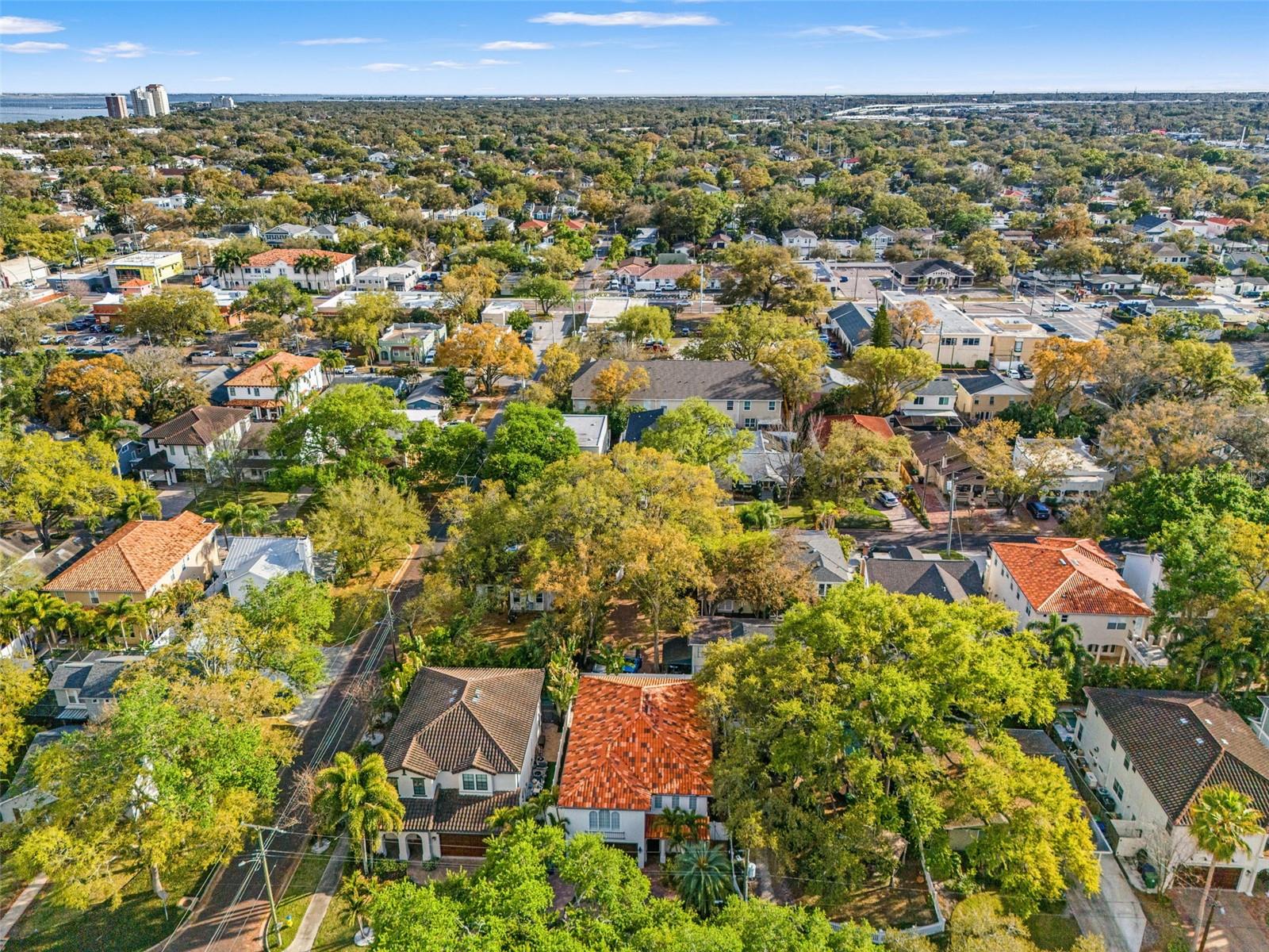 PALMA CEIA PARK - Residential