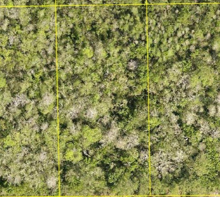 Discover the perfect opportunity to own vacant land in the peaceful and growing area of DeLand, FL. This unimproved parcel offers a blank canvas for your vision—whether you’re looking to build your dream home, invest for the future, or create a private retreat. This property provides a quiet, rural charm with plenty of space to design and develop. You’ll enjoy the flexibility to bring your ideas to life in a serene setting surrounded by nature. This property size and location makes it an ideal choice for homeowners and investors alike. Don’t miss your chance to secure a piece of land in a steadily developing area! Buyers are encouraged to consult environmental and building regulations to explore the full potential of this unique property.