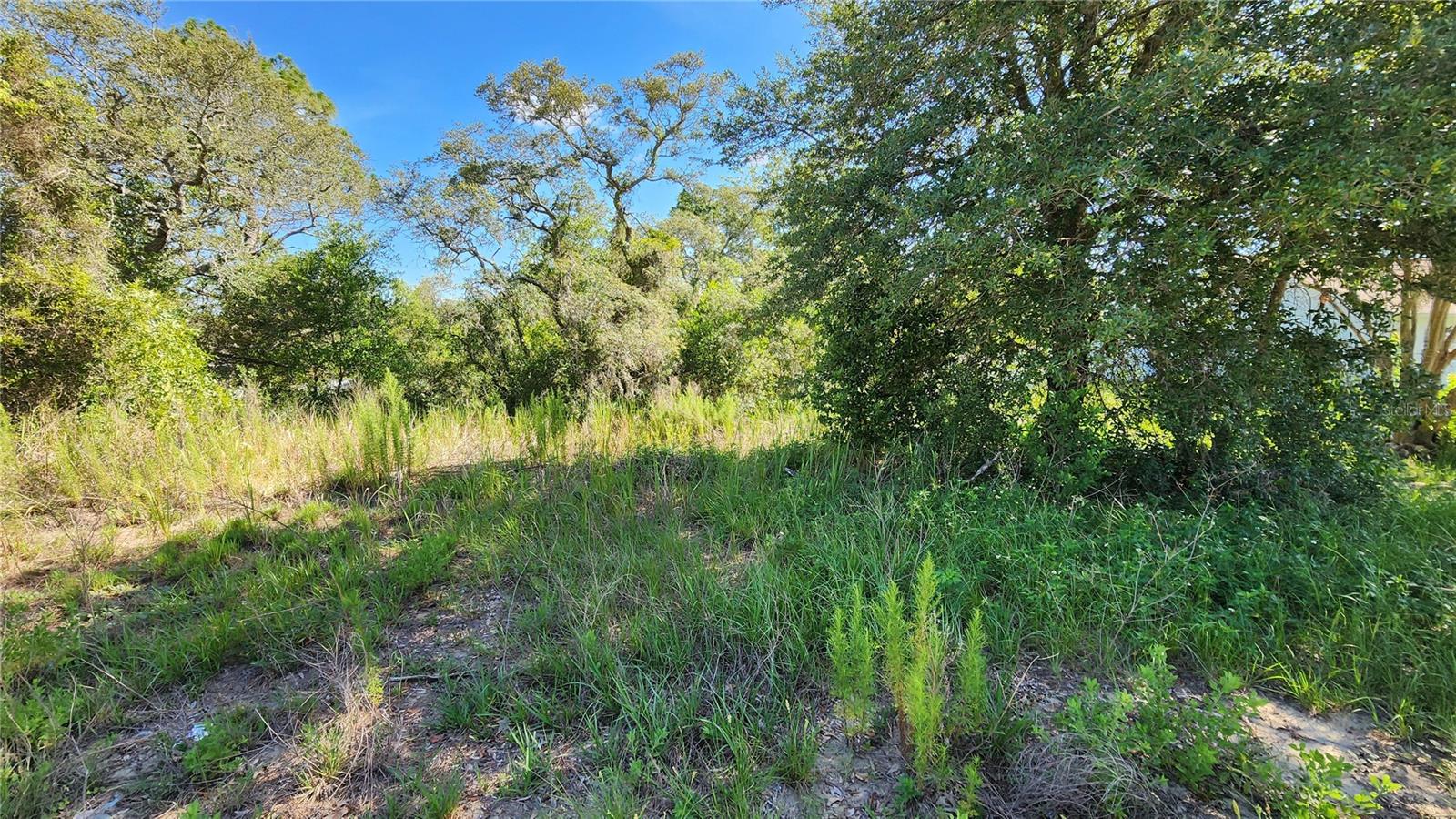 Looking for the perfect spot to build your future home or secure your next investment? This just-under-.30 acre vacant lot sits in a desirable Spring Hill neighborhood, nestled between established homes on a peaceful street. With utilities nearby and no build-time requirements, you can bring your own builder and get started right away—or buy now and hold for later. Conveniently located close to schools, shopping, and dining, and just a short drive from scenic Hernando Beach where you can sail into the Gulf—this property offers flexibility, location, and value. Don’t wait—secure your piece of Spring Hill today! Sorry but no Owner financing available. Street number is not guaranteed by Hernando County. Use for gps purposes