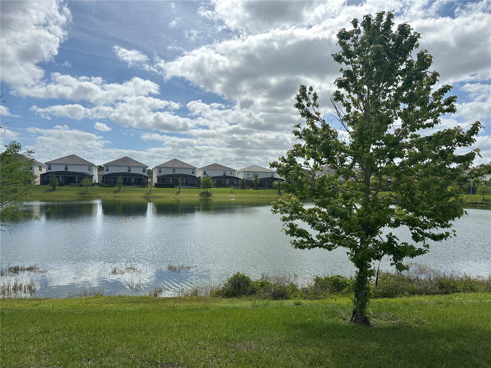 BELLAVIDA PH 2C - Residential