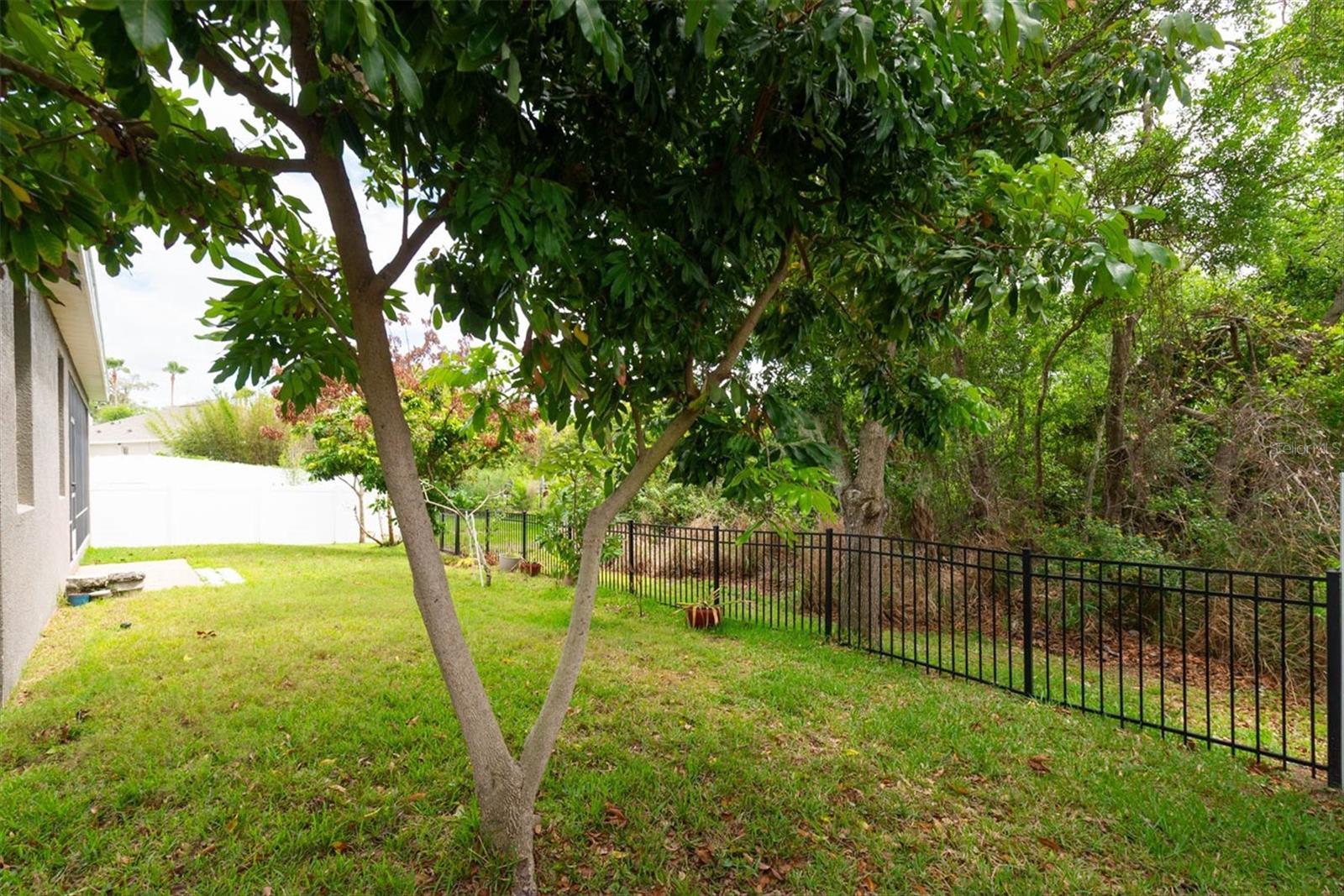 AVELAR CREEK NORTH - Residential