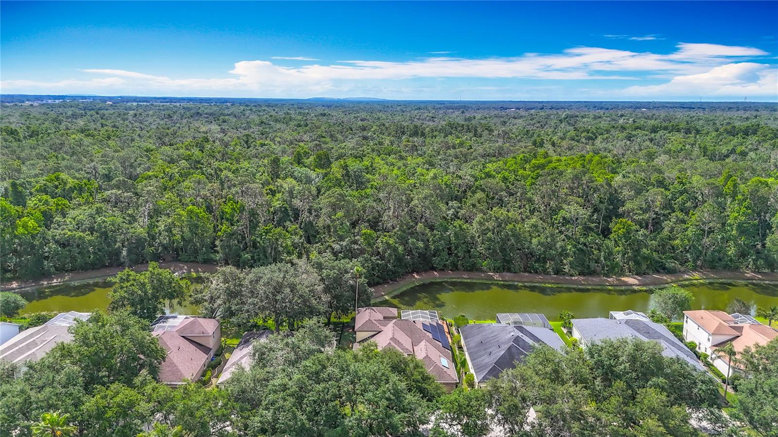 RIVER HILLS COUNTRY CLUB PARCE - Residential