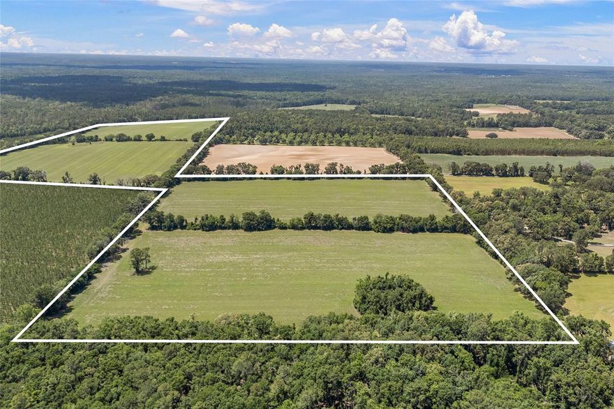 Discover 119+ breathtaking acres along one of the most scenic stretches of High Springs—Old Bellamy Road. Comprised of three separate yet contiguous parcels, this rare offering presents unlimited potential with no HOA and no deed restrictions.
Maintain its current agricultural use, establish a private family compound, or create the dream estate you’ve always envisioned—the possibilities are truly endless. The land is highly productive and currently supports a profitable hay and grass seed operation, which can be rotated with other agricultural crops and expanded to include livestock. Adding to its value, a rare government peanut base conveys to the new owner. Gently rolling hills, abundant wildlife, and state-owned land directly across the road create a stunning natural backdrop ideal for hunting, turkey, and outdoor recreation, or simply enjoying the peace and serenity of Old Florida living. Despite its secluded, private feel, the property is just minutes from I-75, downtown High Springs, and Alachua, offering the perfect balance of privacy and accessibility.
Large, unspoiled tracts like this are becoming increasingly rare—especially in such a highly desirable location. This is a true legacy property where your vision can take root and grow.