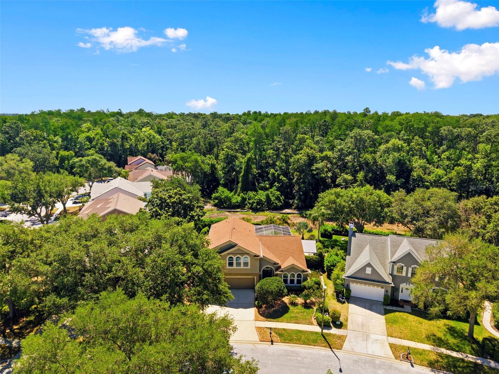 ELLINWOOD PH 1 - Residential