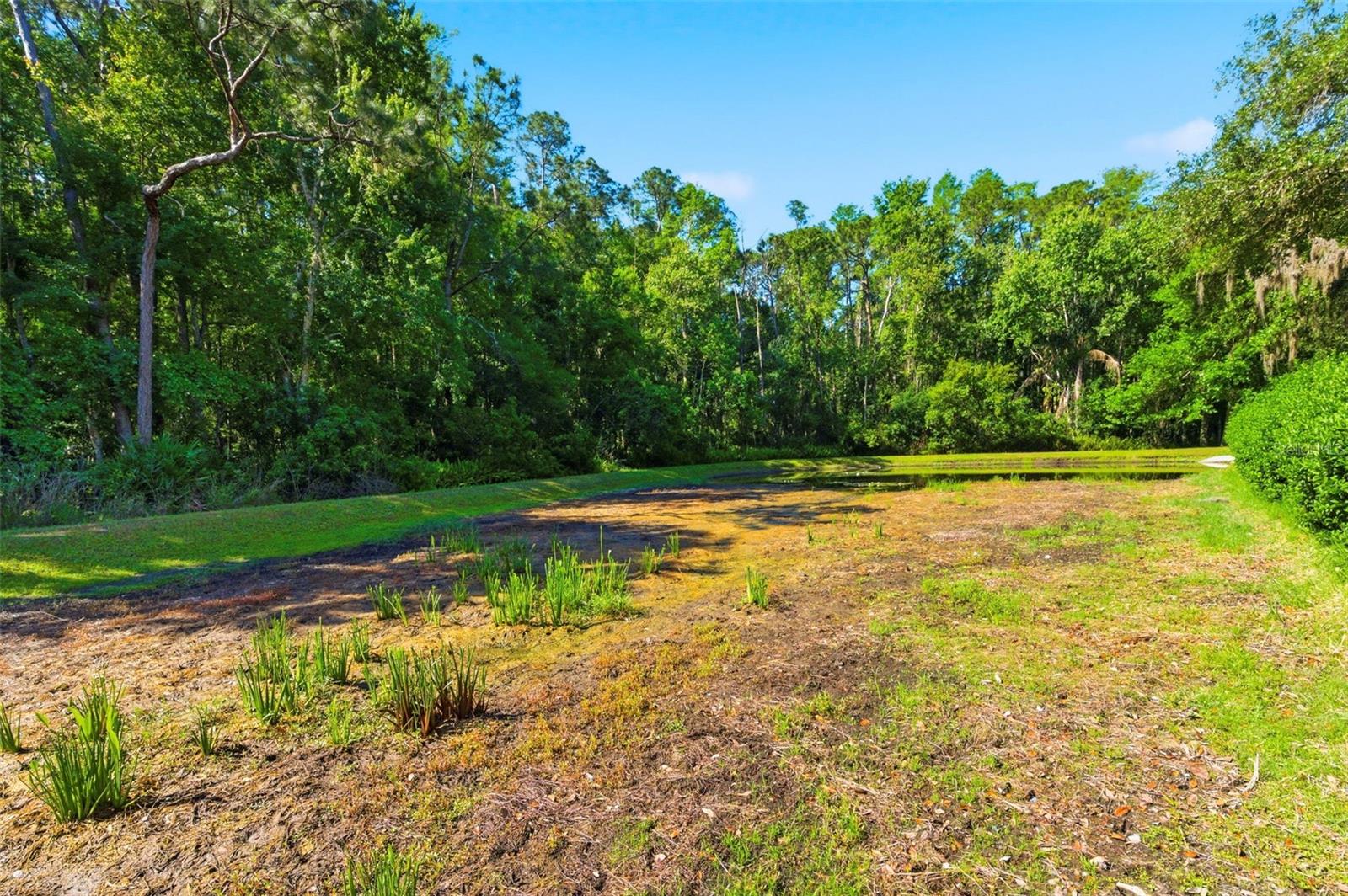 ELLINWOOD PH 1 - Residential