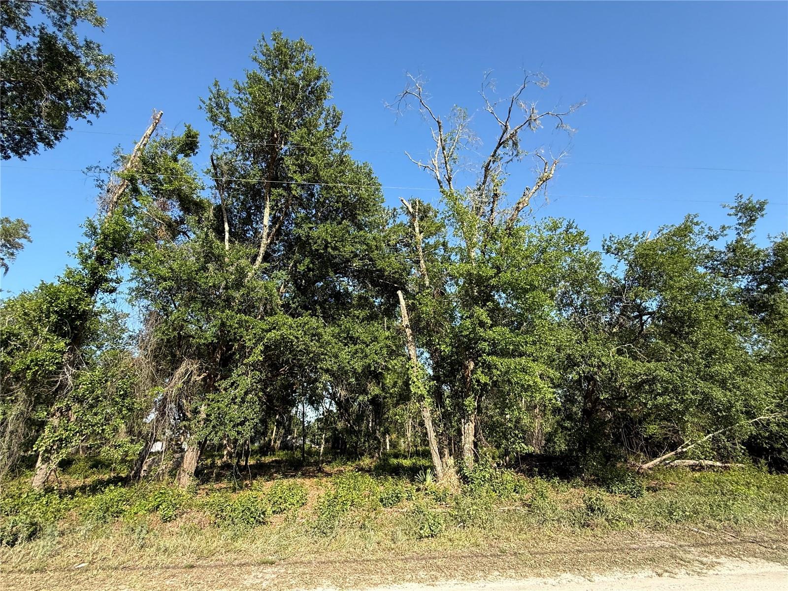 Discover the perfect canvas for your dream home in the desirable Crystal Springs subdivision of Zephyrhills, FL! This unimproved and partially cleared vacant lot offers a serene setting on a quiet street, providing a peaceful retreat while still being conveniently located near shopping, dining, and recreational activities. With its prime location and ample potential, this property is ideal for building the home you’ve always envisioned. Don’t miss out on this opportunity to create your personal oasis.