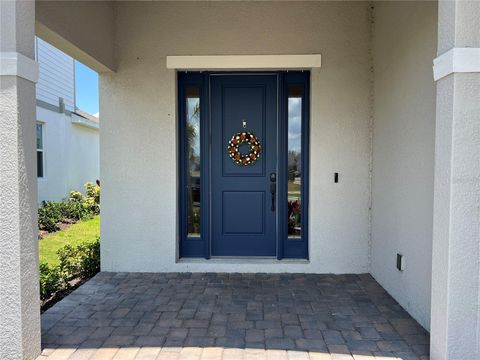 A home in APOLLO BEACH