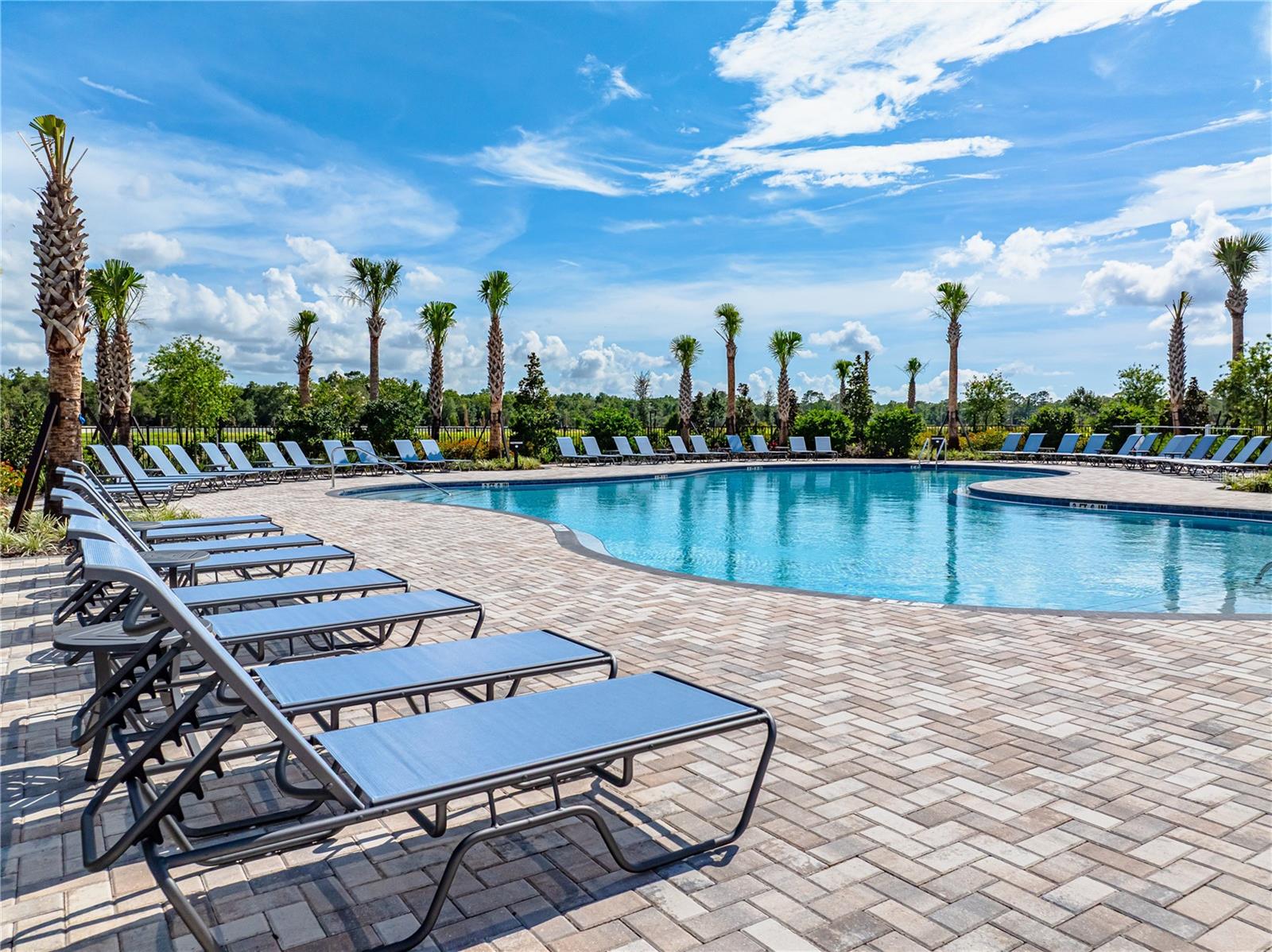 PALM WIND - Residential