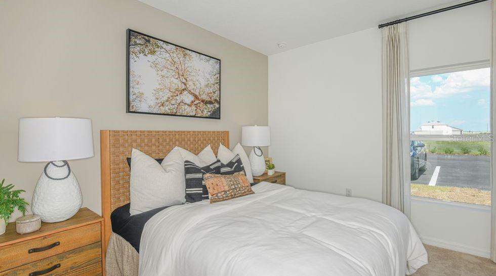 PALM WIND - Residential