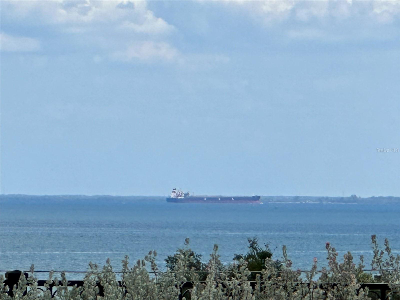 REGENT LANE - Residential