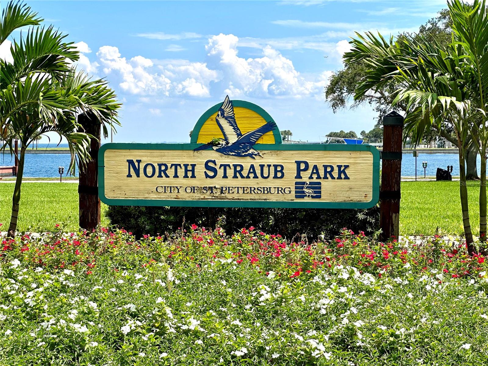 REGENT LANE - Residential