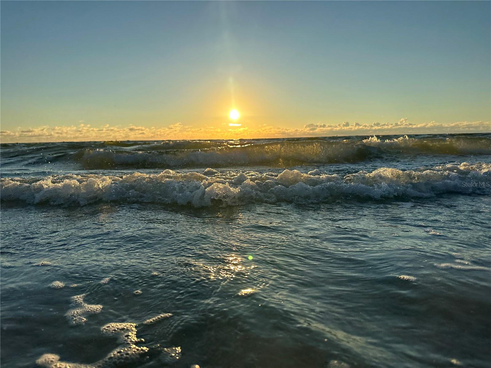 REGENT LANE - Residential