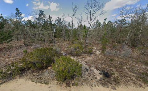 418 CHERRY STREET INTERLACHEN FL 32148