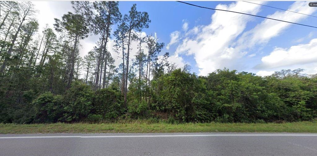 Photo of Deen Still Road, Polk City, FL 33868 (MLS # O6269509)