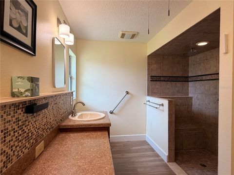Tiny photo for 521 Hiawatha Avenue, Inverness, FL 34452 (MLS # TB8506267)