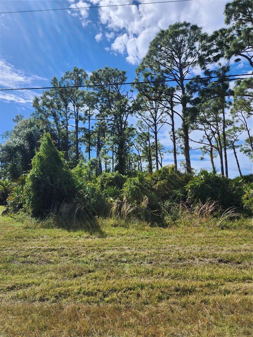 The area of Gulf Cove is known for it's beauty and accessibility to the Myakka River with access to the Gulf. Just a short drive to Englewood's Manasota Beach and Boca Grande. You can build your dream home on this spacious lot. Not located in a scrub jay habitat, on the county website. You can join the HOA and have use of the boat ramp and the park for a small fee. The HOA is OPTIONAL. County water and electric is nearby. You will love this peaceful community located in beautiful Port Charlotte.
