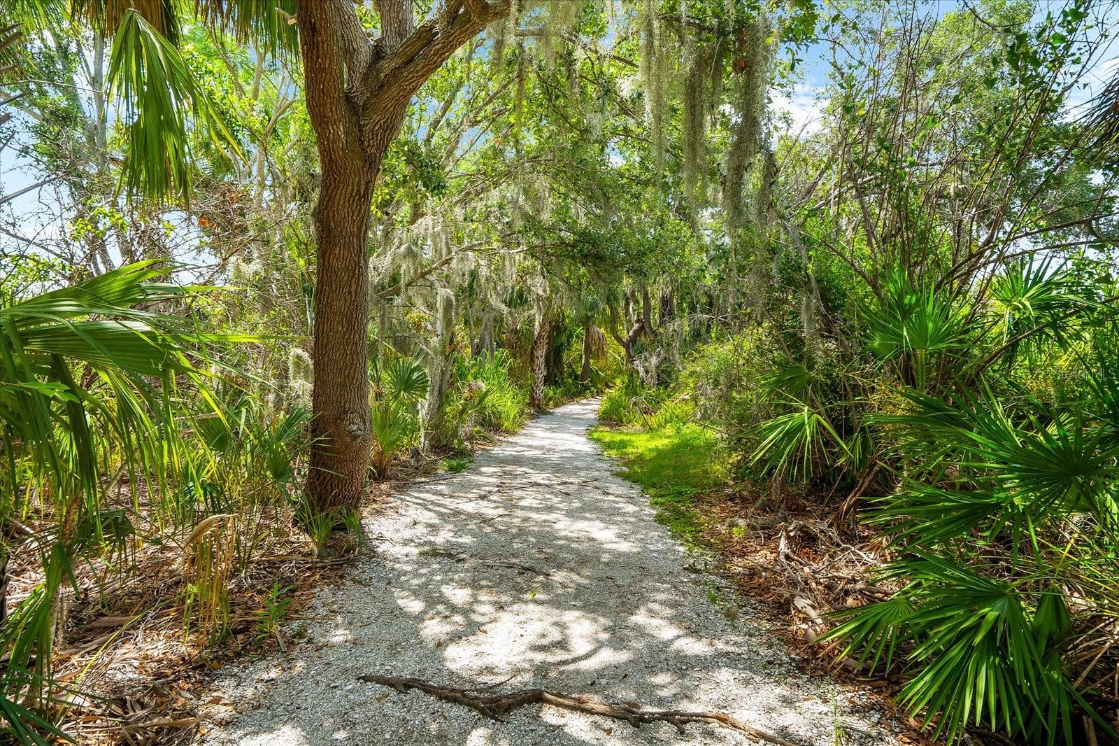 HARBORAGE ON BRADEN RIVER PH II - Residential