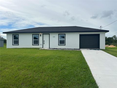 Photo of 7209 Ancha Street, Sebring, FL 33872 (MLS # S5123174)