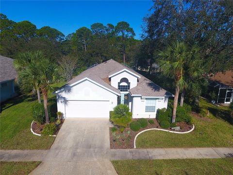 A home in PALM COAST