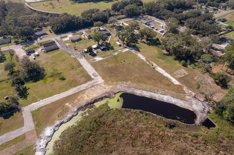 A home in MOUNT DORA