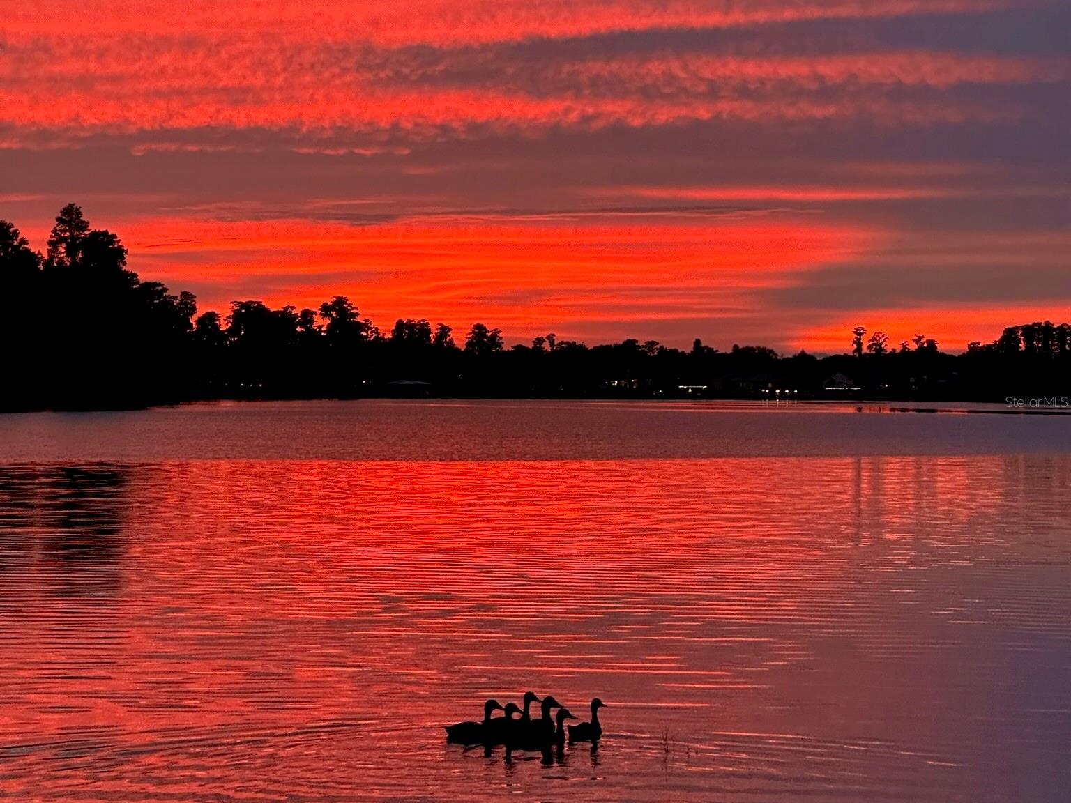 RIDGELAND REP - Residential