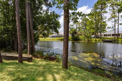 A home in PALM COAST