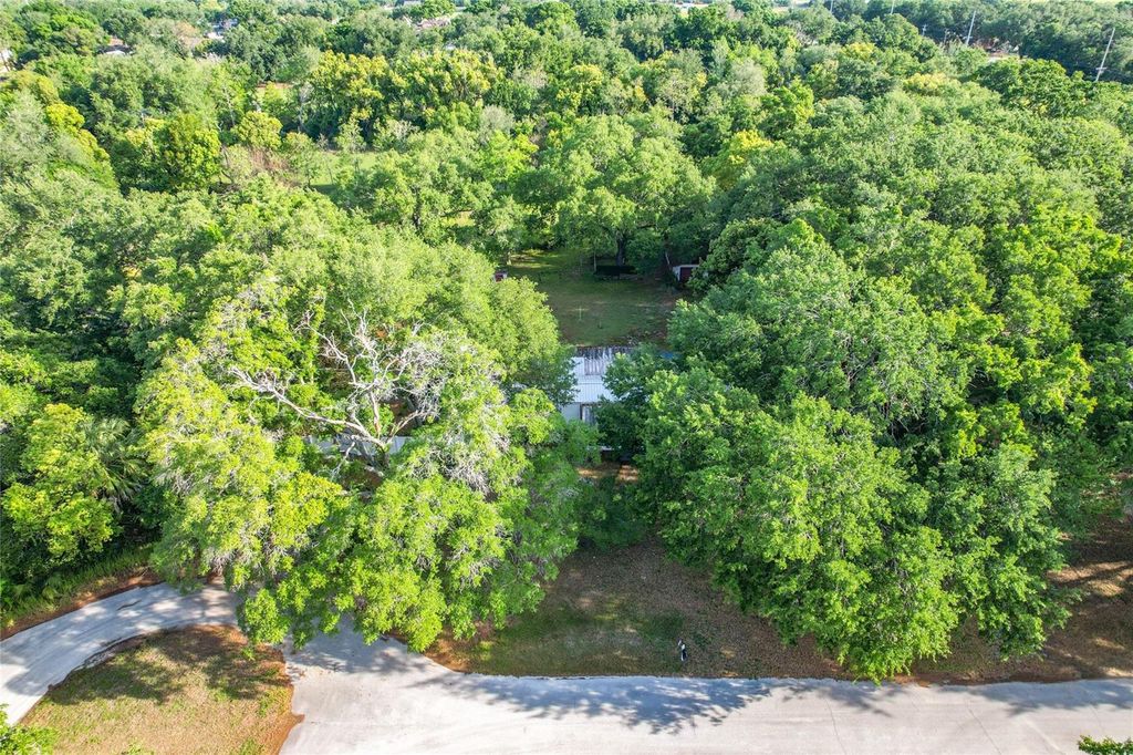 Photo of 821 Irene Drive, Auburndale, FL 33823 (MLS # O6399365)