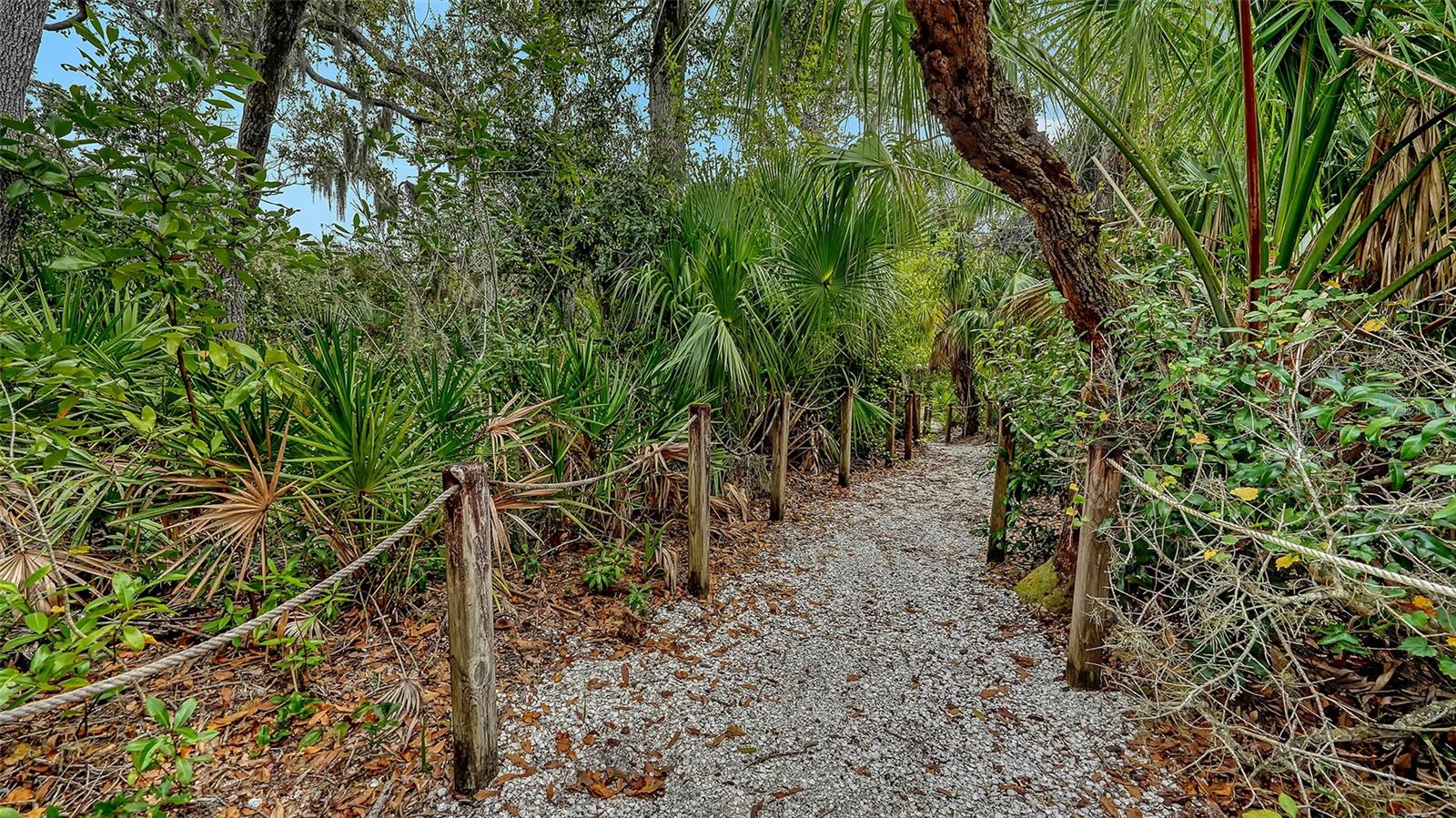 ARBOR LAKES B - Residential