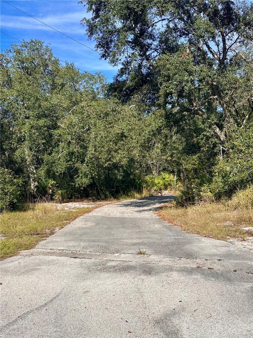 Photo of 4125 Tiger Creek Trl, Lake Wales, FL 33898 (MLS # L4957886)
