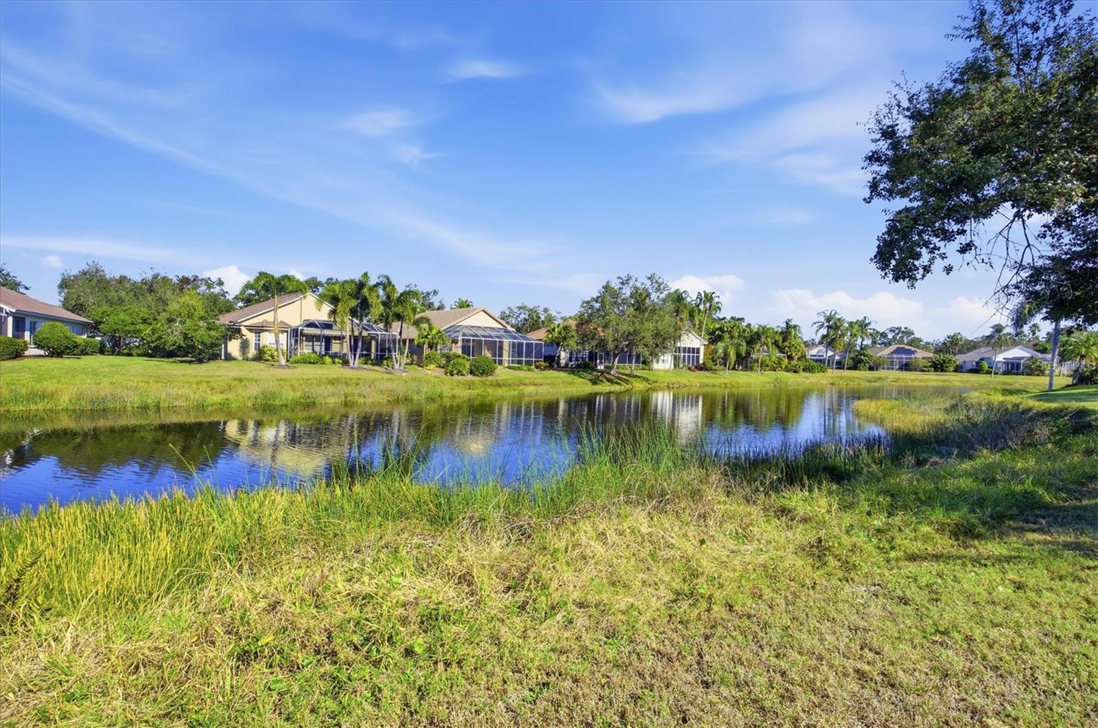 UNIVERSITY PARK - Residential